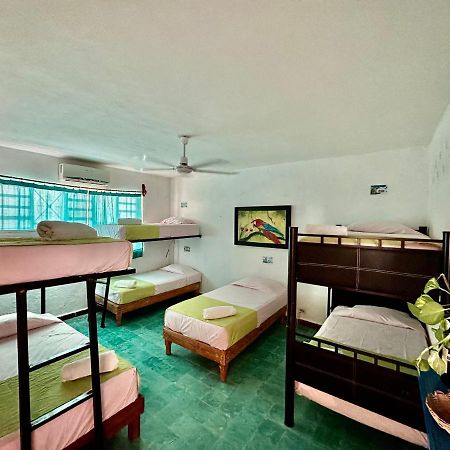 Hostel 35 Valladolid  Ngoại thất bức ảnh