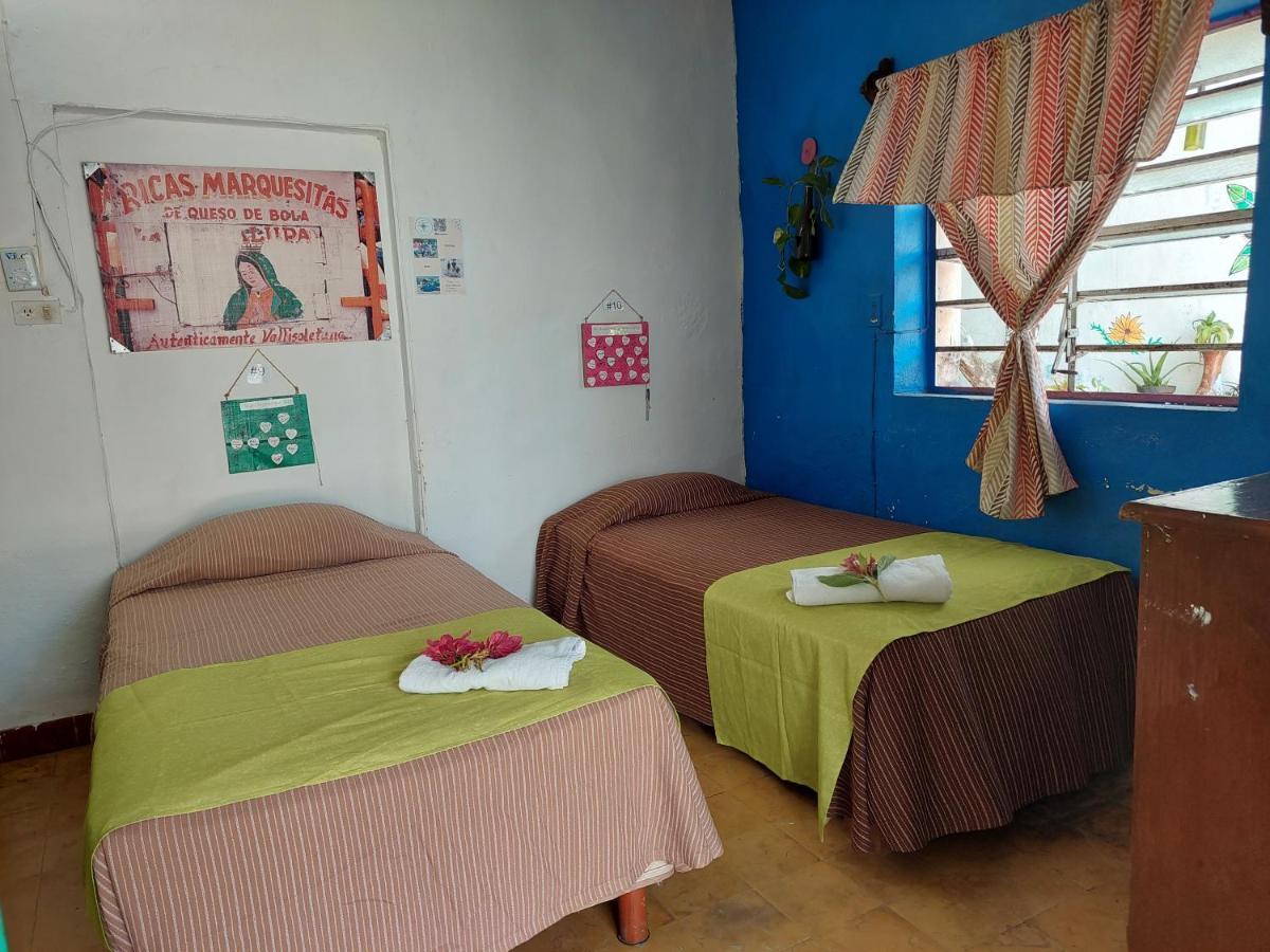 Hostel 35 Valladolid  Ngoại thất bức ảnh