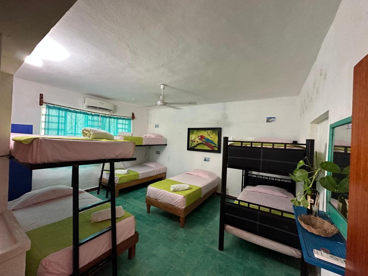 Hostel 35 Valladolid  Ngoại thất bức ảnh