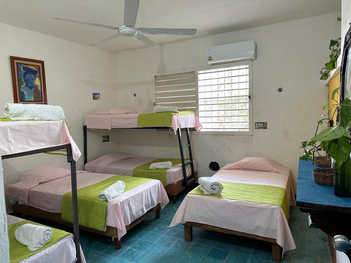 Hostel 35 Valladolid  Ngoại thất bức ảnh
